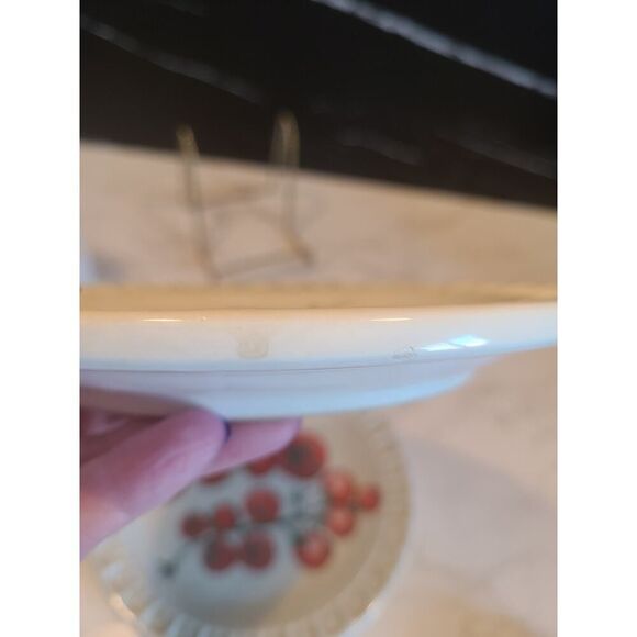 Williams-Sonoma GIARDINO 8" Salad Plates Made In Italy Set/4 EUC Dinner Party - Picture 15 of 16